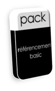 pack référencement basic