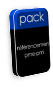 pack référencement basic
